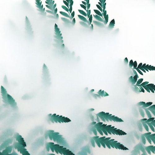 Halden and Dovale debut eco-friendly fashion line