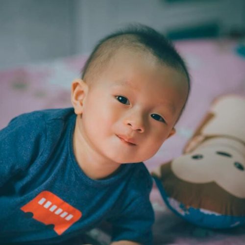 Surrogacy or adoption in United States: starting your family