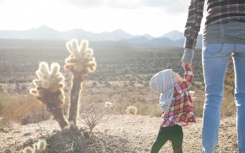 How genetic link in surrogacy works for China citizens