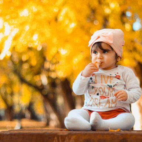 How does Family Aims help you choose the ideal surrogate in Australia?