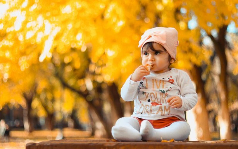 How does Family Aims help you choose the ideal surrogate in Australia?